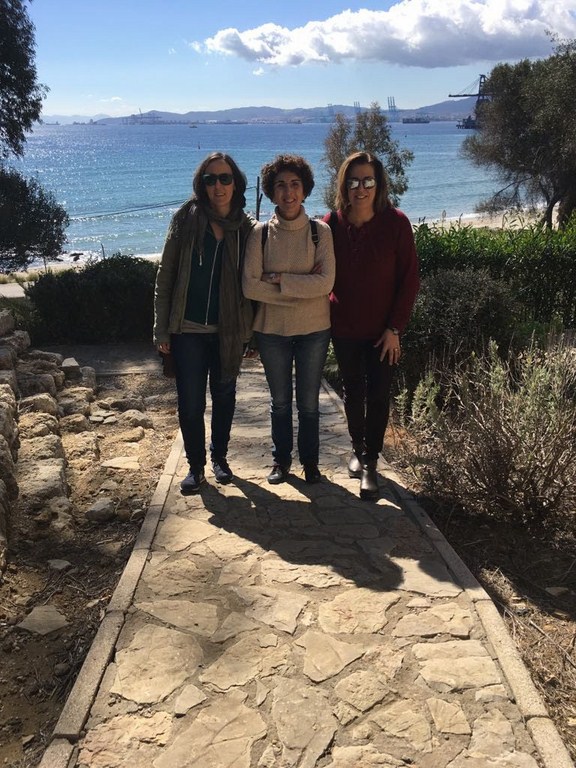 311a9582 9ace 4f3e b520 30ef3b57e228 (Copy)